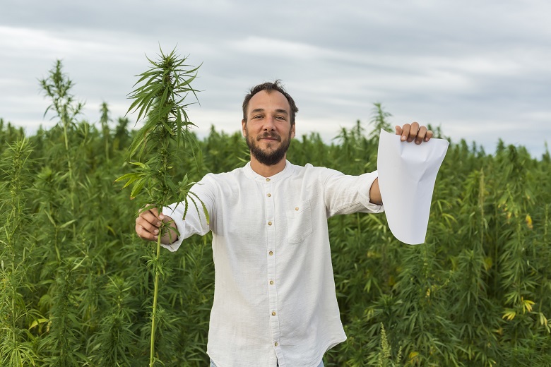 Запрет на выращивание конопли в россии заваривание марихуаны